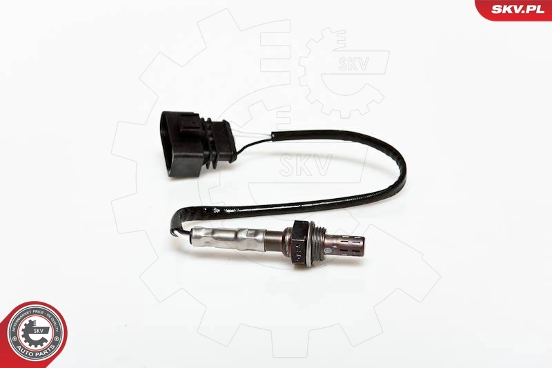 Oxygen Sensor
